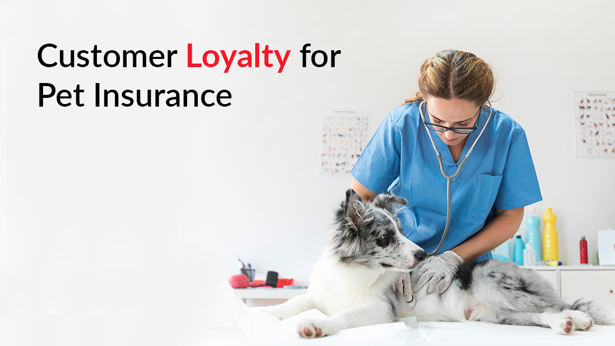 How To Build Customer Loyalty For Pet Insurance