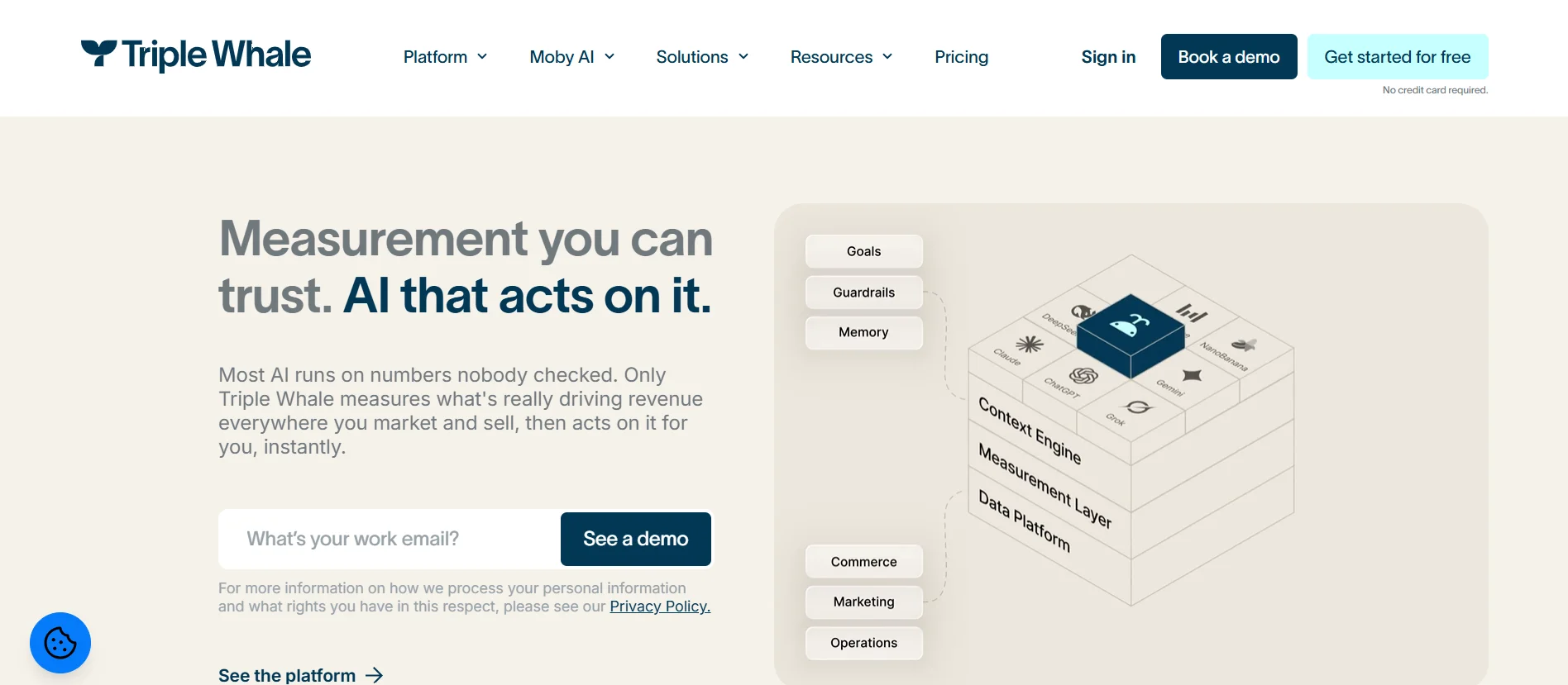 Triple Whale homepage showing its measurement and analytics platform