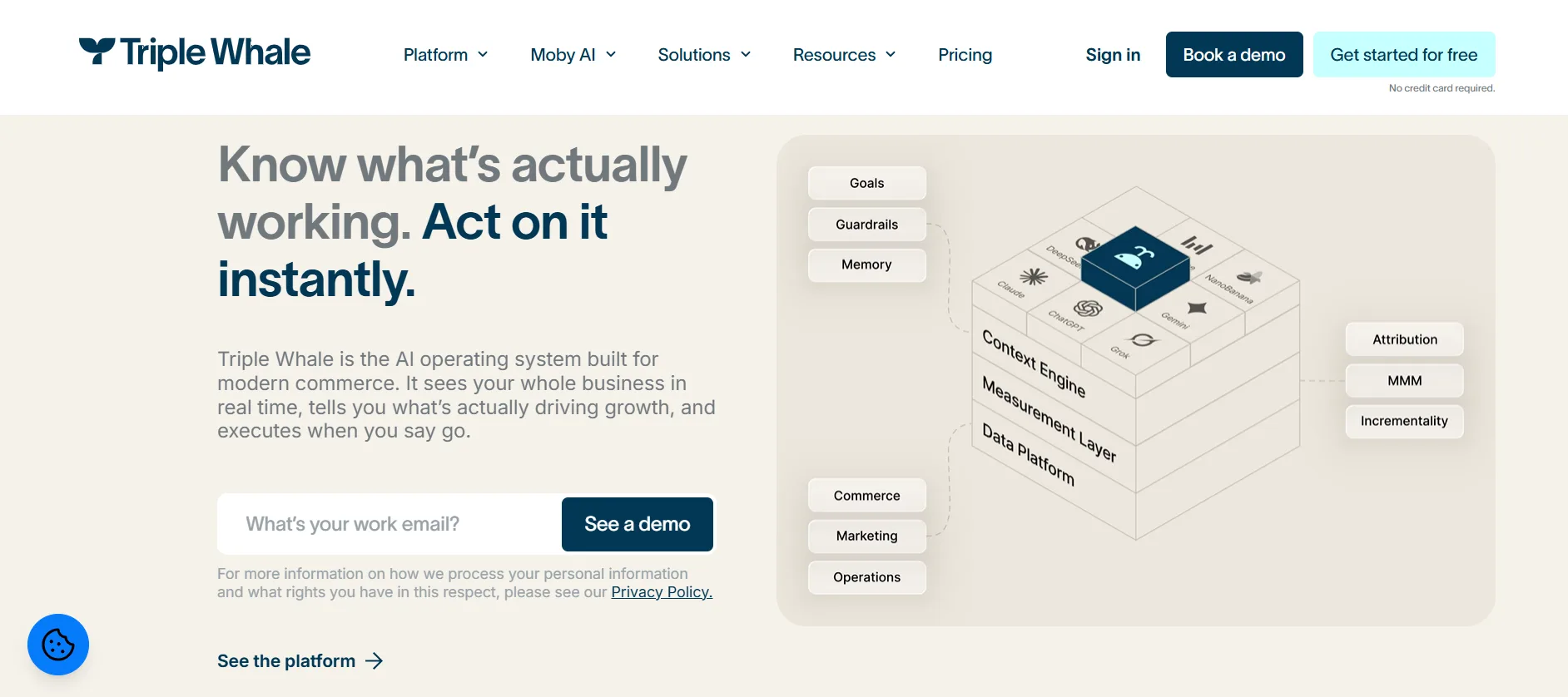 Triple Whale homepage showing its attribution, MMM, and incrementality measurement platform